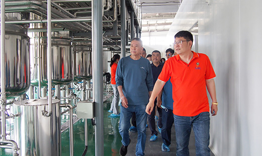 尊龙凯时植物胚性干细胞手艺将为即墨黄酒工业赋能