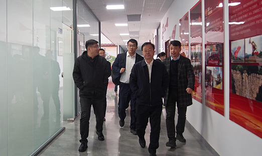 全球视野，亳州行动！