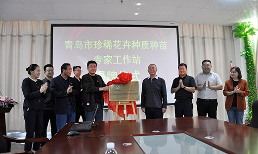 青岛市珍稀花卉种质种苗专家事情站揭牌，开启花卉工业新征程